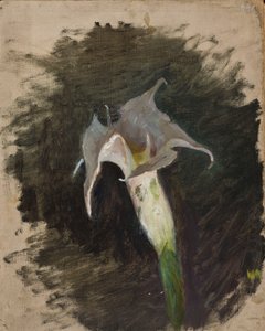  door Jan Ciągliński