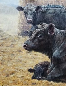 De familie Black Cattle