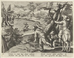 Jacht op kraaien en spreeuwen