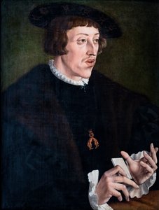 door Jan Cornelisz (attr. to) Vermeyen
