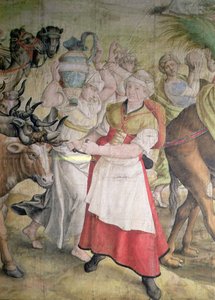 Campagne van keizer Karel V door Jan Cornelisz Vermeyen
