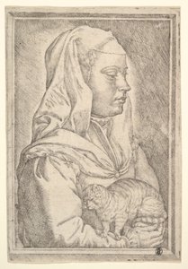 Meisje met een kat, 1546