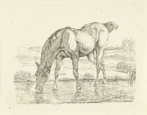 Drinkend paard door Jan Dasveldt