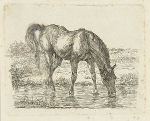 Drinkend paard door Jan Dasveldt
