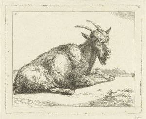 Geit door Jan Dasveldt