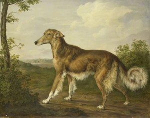 Siberische windhond