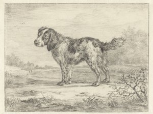 Spaniel staande in een landschap door Jan Dasveldt