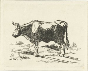Staande koe door Jan Dasveldt