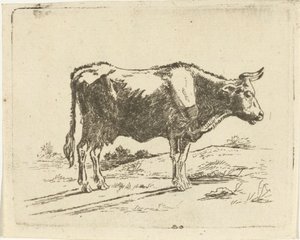 Staande koe