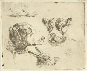 Studieblad met twee hondenkoppen, poten van hond en kop van haas door Jan Dasveldt