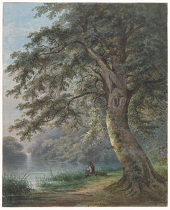 Hengelaar onder grote boom bij vijver