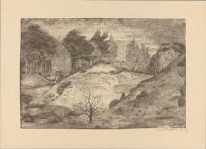 Heide bij Laren