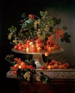 Een Stilleven van Kersen en Aalbessen met een Papegaai door Jan Frans van Son