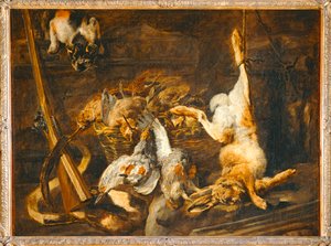 Wild en jachtspullen ontdekt door een kat. Wild en ...
