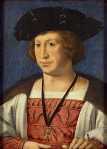 Floris van Egmond, graaf van Buren, 1536