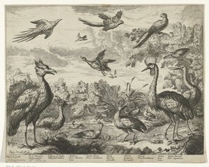 Verschillende vogels in een landschap door Jan Griffier (I) (copy after)
