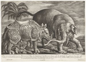 Olifant en neushoorn door Jan Griffier (I)