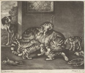 Poes met vijf jongen