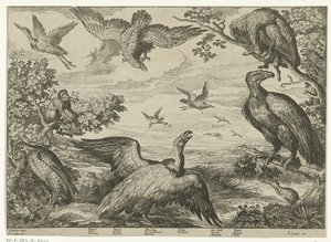 Verschillende vogels en een aap door Jan Griffier (I)