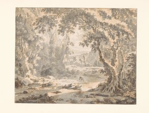 Rivier in een bosachtig berglandschap