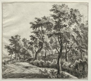De smalle stroom door Jan Hackaert