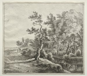 De Serpentijnweg door Jan Hackaert