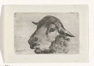 Schapenkop door Jan Heppener