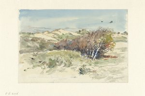 Duinlandschap tussen Bloemendaal en IJmuiden door Jan Hoynck van Papendrecht
