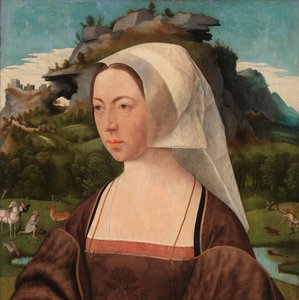 Portret van een onbekende vrouw door Jan Jansz Mostaert