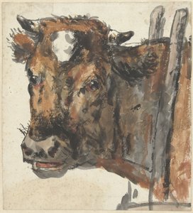 Kop van een koe door Jan Kobell (II)