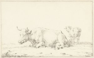 Liggende koe naar links en rechts een schaap