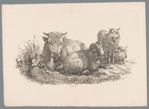 Koe, ram en twee schapen door Jan Kobell (III)