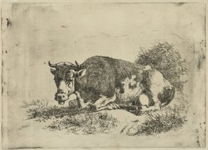 Liggende koe door Jan Kobell (III)