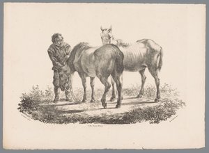 Man en twee paarden