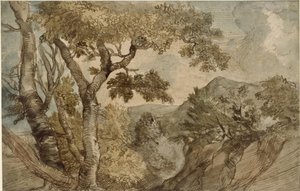 Bergachtig landschap met een groep bomen door Jan Lievens