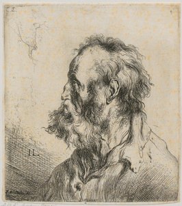  door Jan Lievens