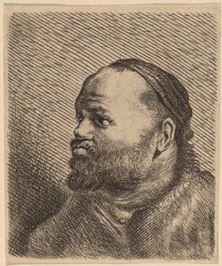 Buste van een Man met Dikke Lippen door Jan Lievens