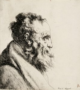  door Jan Lievens