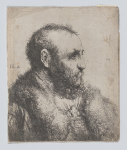 Buste van een oude man met bontkraag door Jan Lievens