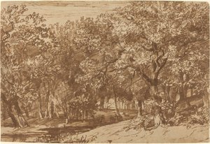 Hertenpark door Jan Lievens