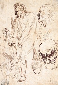 Studies na het model door Jan Lievens