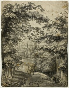 Uitzicht op de stad vanaf de weg op de heuvel