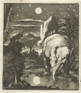 Haas en olifant met volle maan bij een waterbron door Jan Luyken
