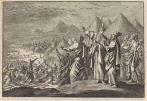Kwartels in de woestijn door Jan Luyken
