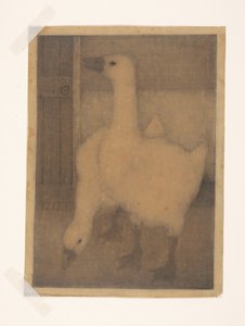 Twee ganzen