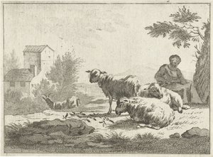 Herderin met kudde schapen