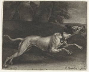 Rennende hond door Jan Verkolje (I)