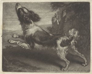 Rennende hond, mogelijk een spaniël