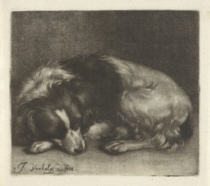 Slapende hond, mogelijk een spaniël