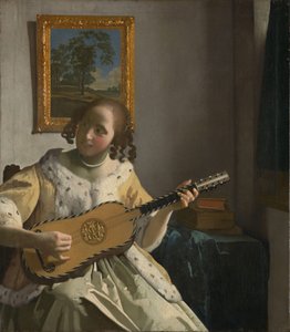 De gitaarspeler